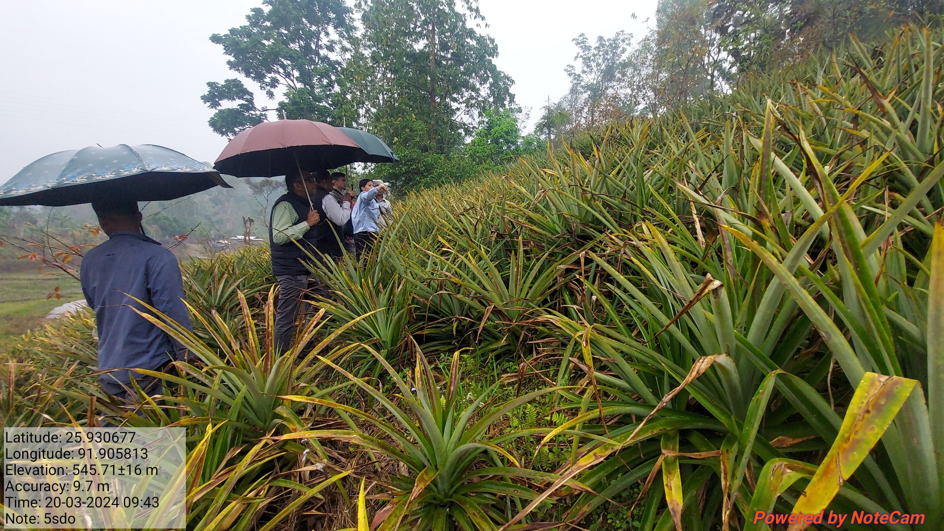 Mock Field Inspection at Pahambirthem, Ri Bhoi District
