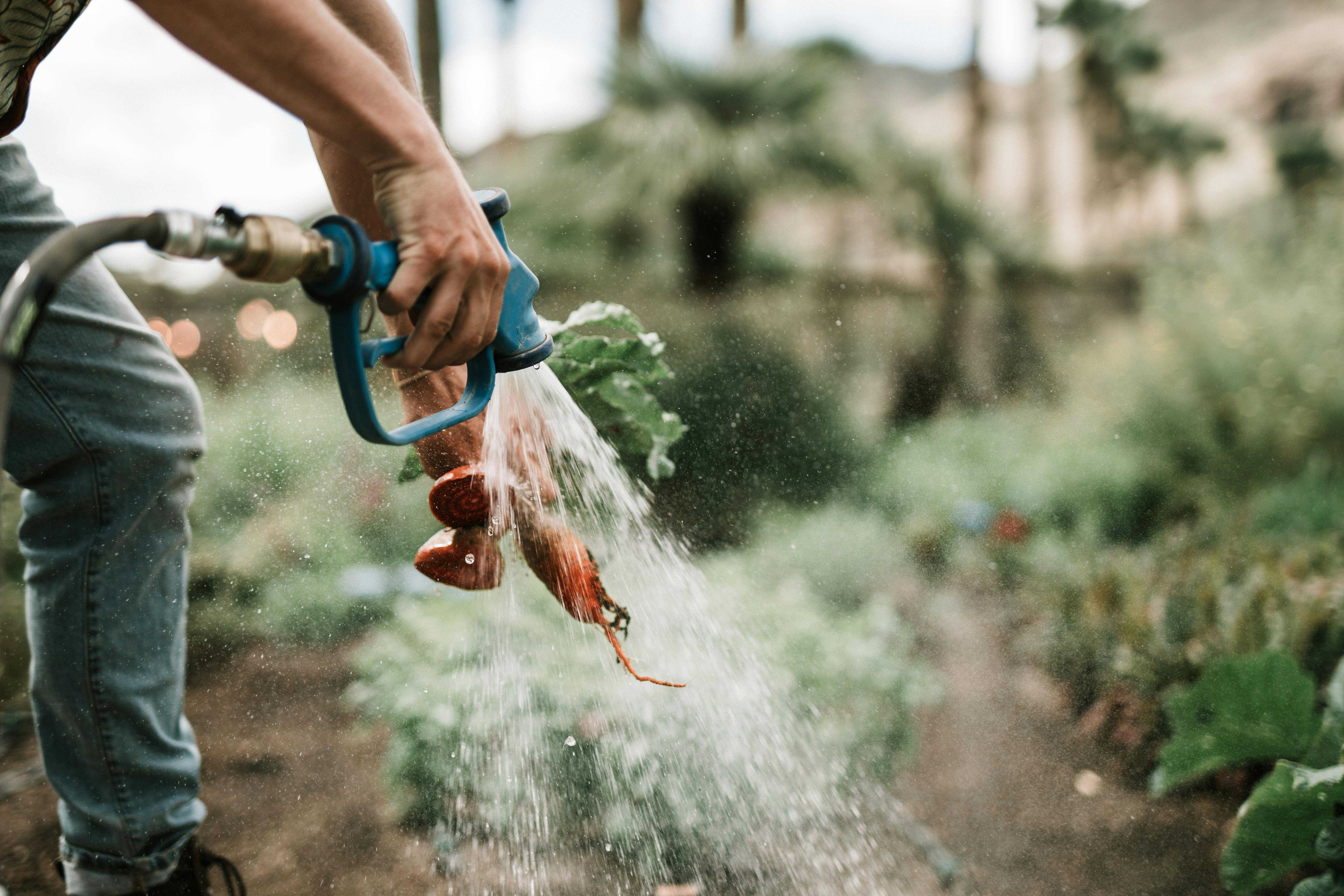 Organic Farming