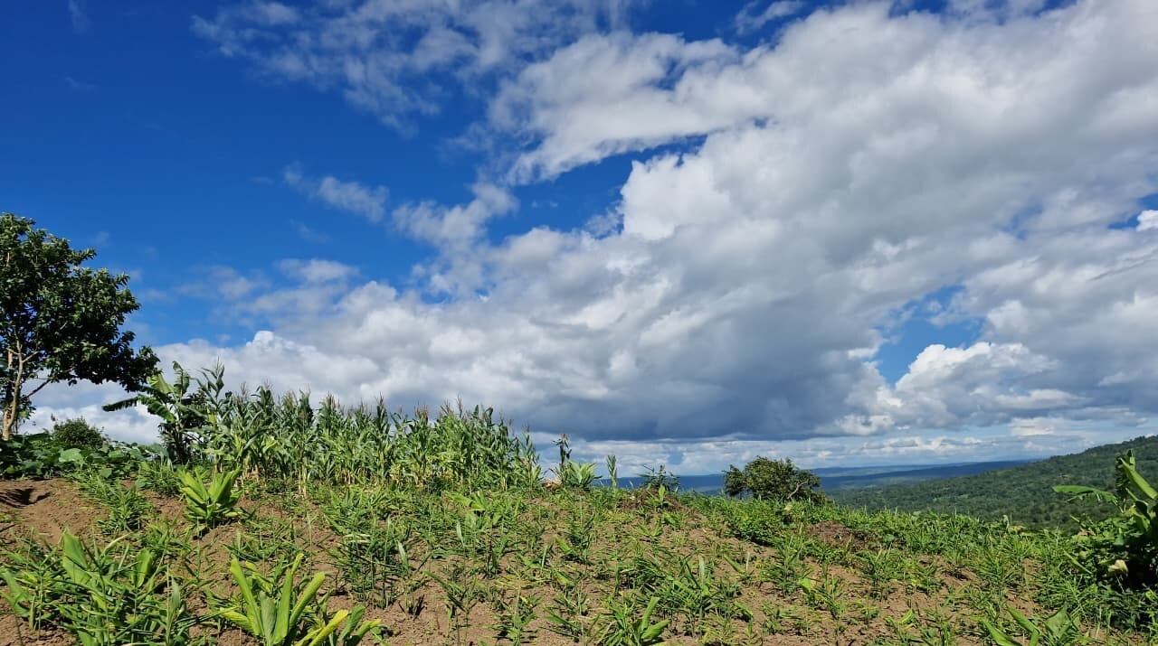 Organic agriculture