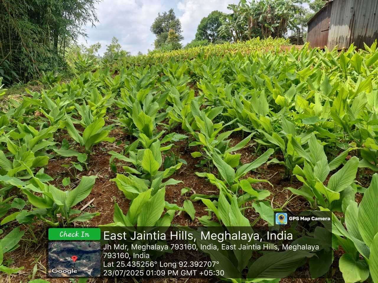 Organic Farming